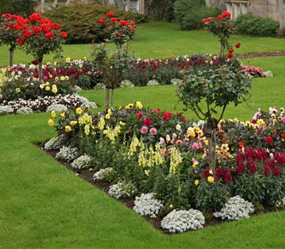 Titan Landscape Improvement Puyallup,  Landscape Improvement Orting, Landscape Improvement Edgewood, Landscape Improvement Sumner, Landscaping Puyallup, Landscape Improvement University Place, Landscaping Edgewood, Landscaping Orting, Landscaping Sumner, Washington WA.