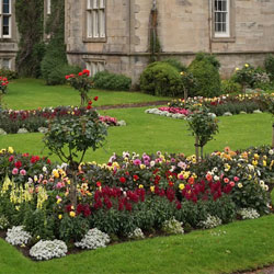 Titan Landscape Improvement Puyallup,  Landscape Improvement Orting, Landscape Improvement Edgewood, Landscape Improvement Sumner, Landscaping Puyallup, Landscape Improvement University Place, Landscaping Edgewood, Landscaping Orting, Landscaping Sumner, Washington WA.